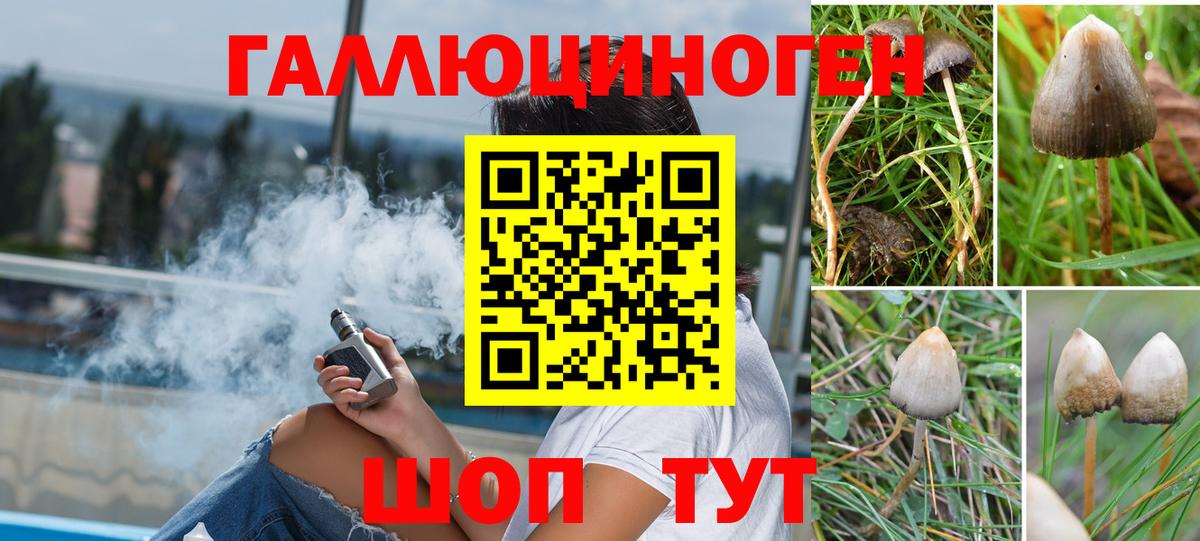 Галлюциногенные грибы Magic Shrooms Изобильный